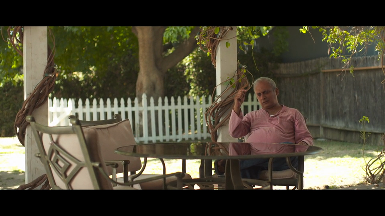 Bonus: Full takes of several Original Piyush Mishra Songs