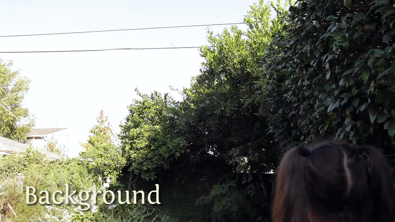 Bonus: Creating the Jungle Gym