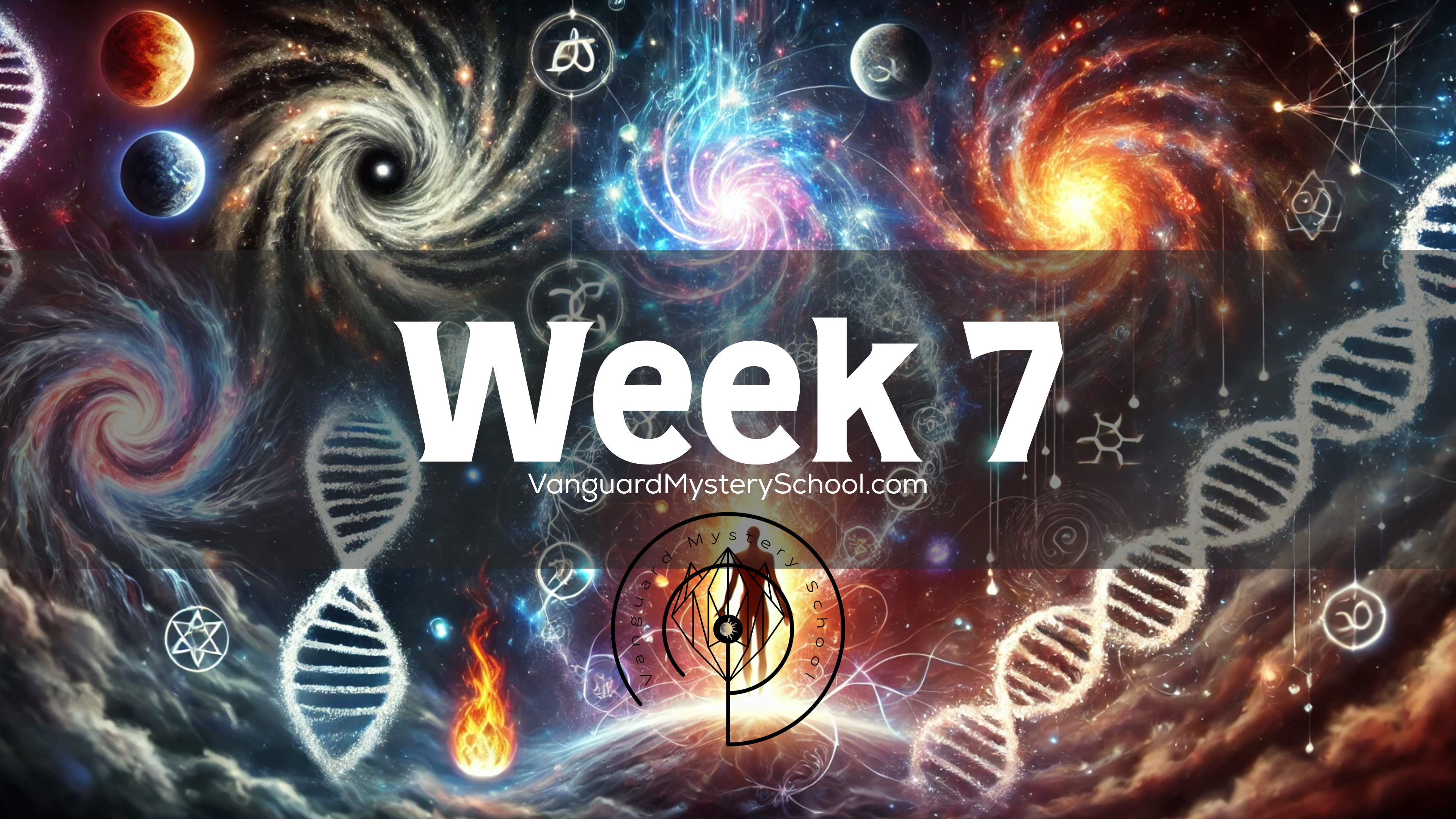 Week Seven: Culmination of Growth and Insight
