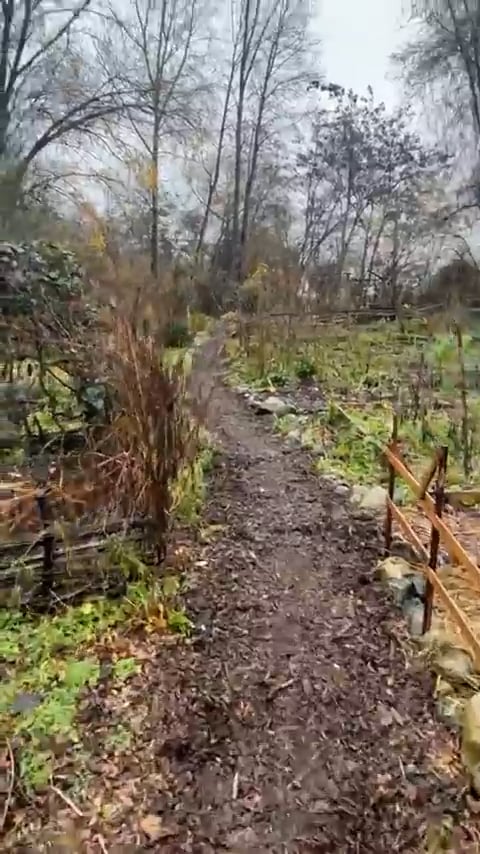 Necole-Dec72021-ThePorch (1).mp4