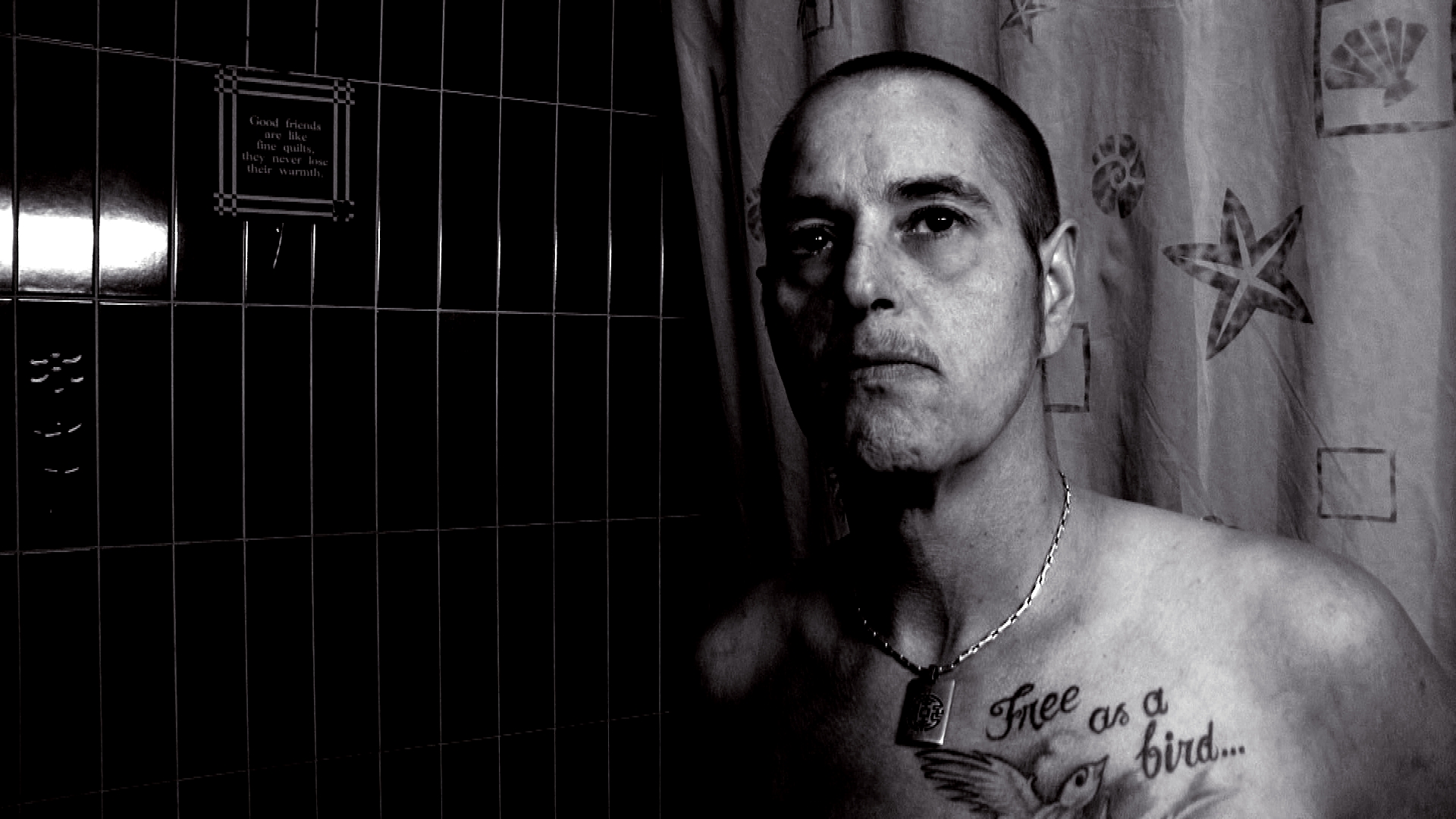 Nathan - free as a bird