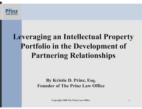 Leveraging IP Portfolio (2009)