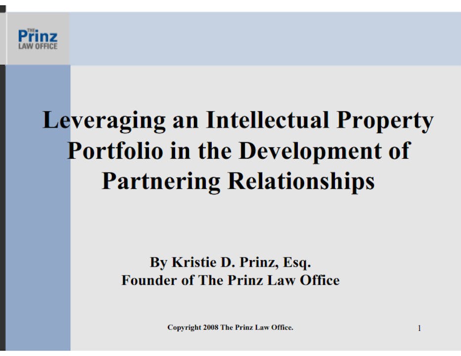 Leveraging IP Portfolio (2009)