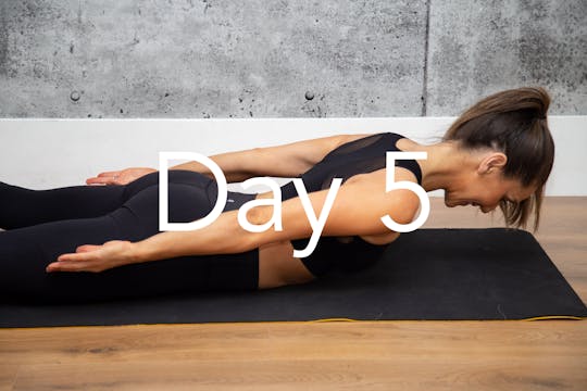 Back Extension Variation 