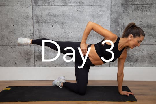 Inner + outer Thigh -  no weights