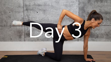 The Pulse Fit Method Video