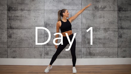 The Pulse Fit Method Video