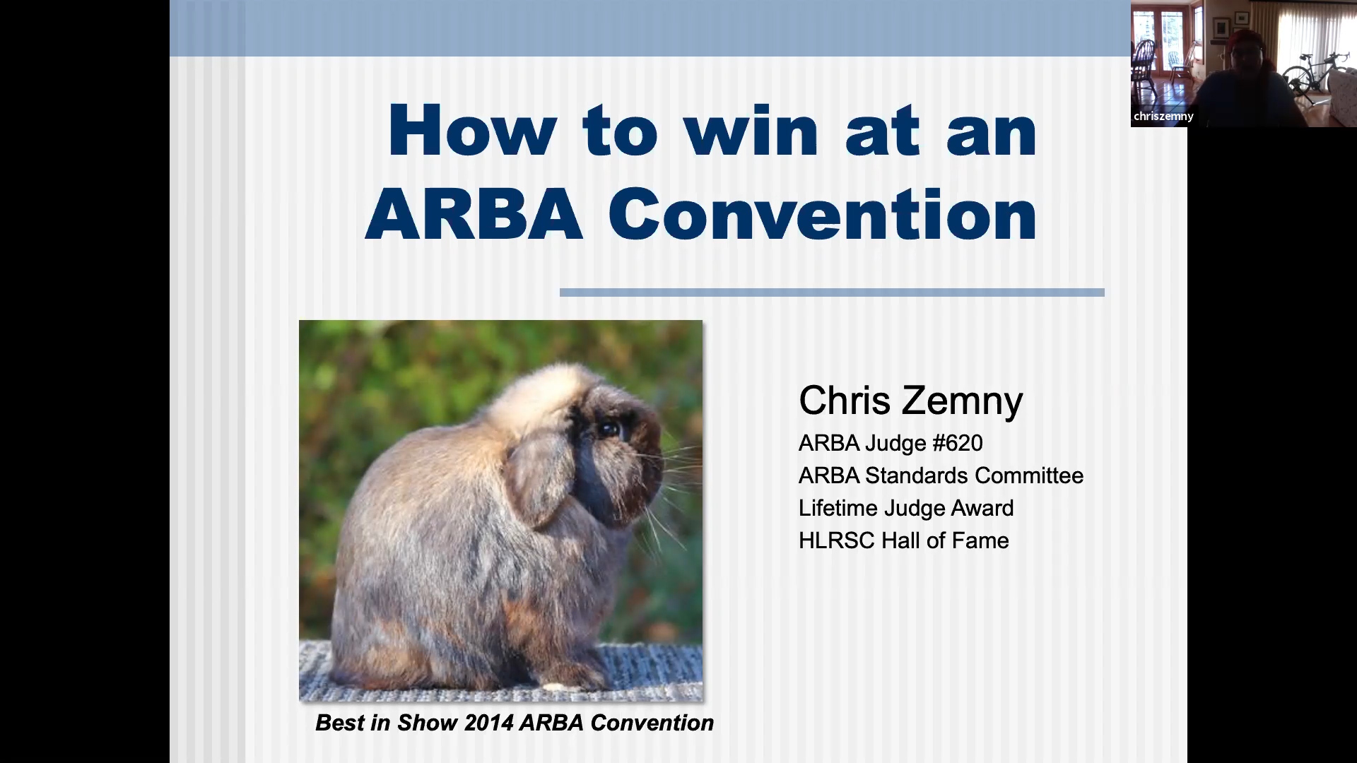 Holland Lops by Chris Zemny