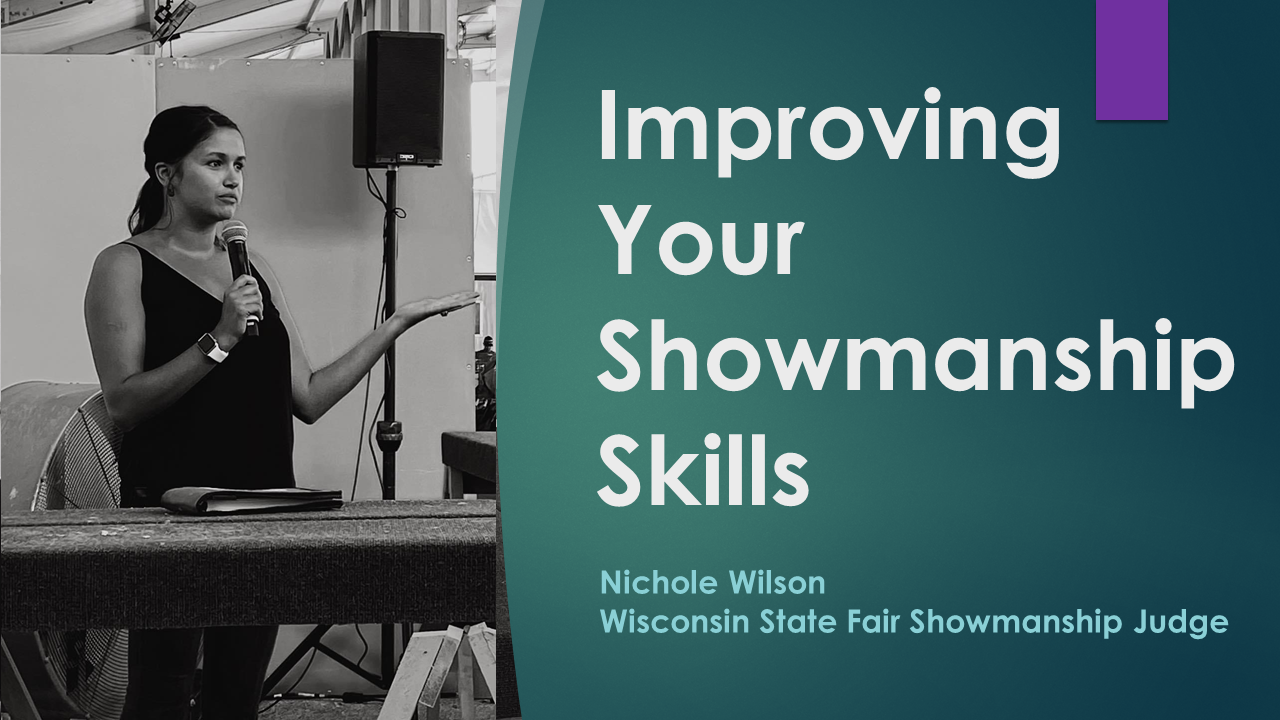 The Rabbit Show Video