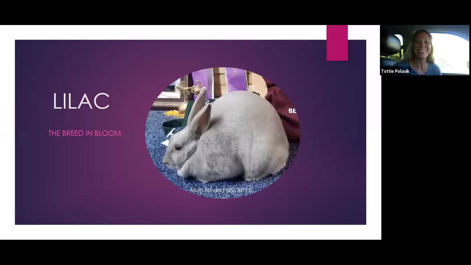 Lilacs by Misty Polasik ARBA Judge #1001