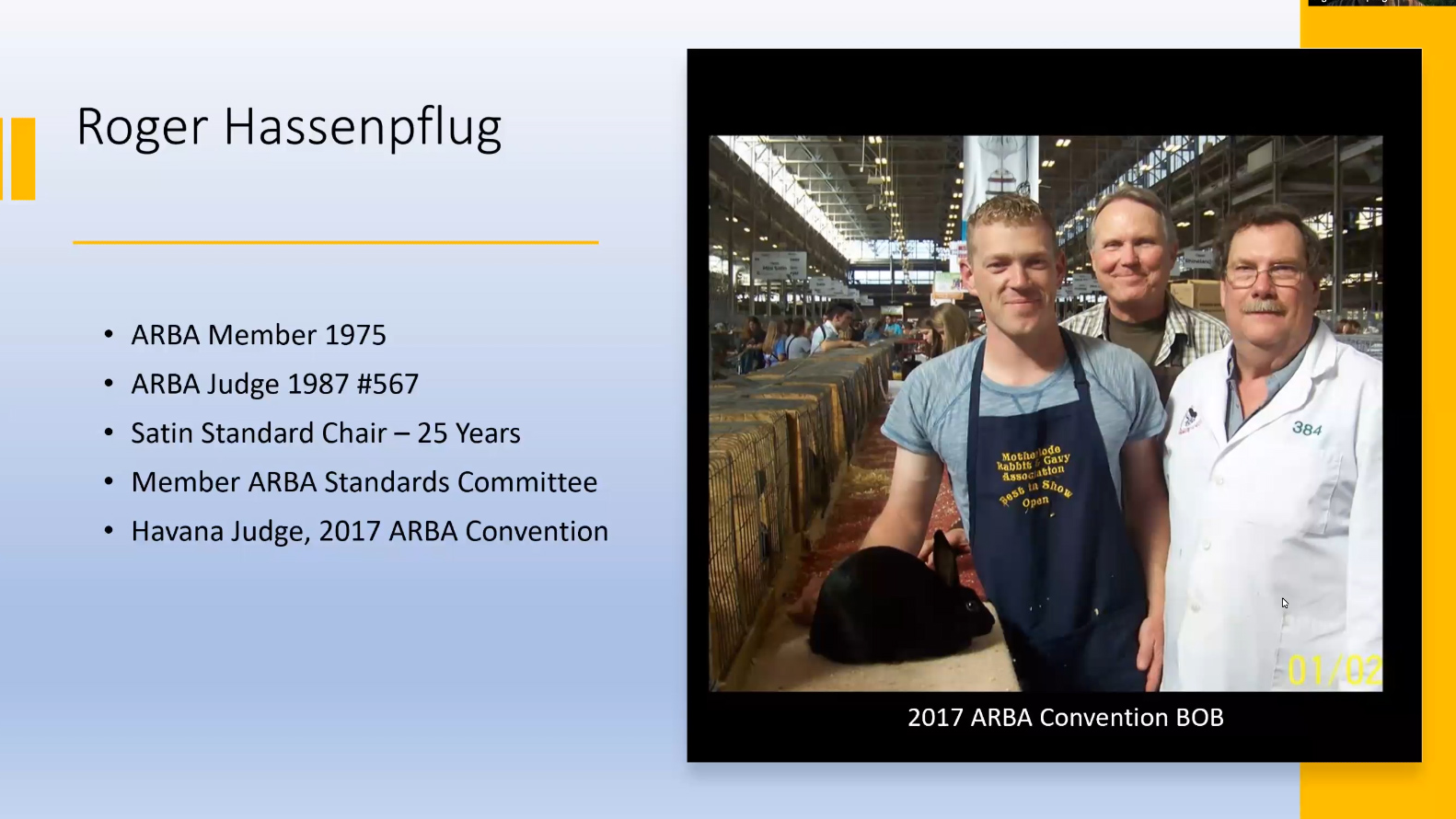 Havanas by Roger Hassenpflug ARBA Judge #567