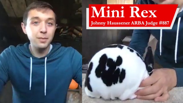 Mini Rex Johnny Haussener ARBA Judge #887