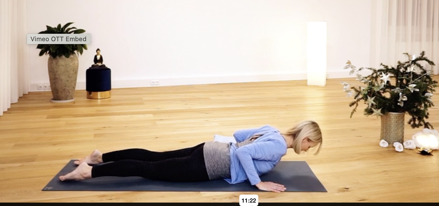 Vinyasa Break – Frische für Nacken & Schultern  (#62)