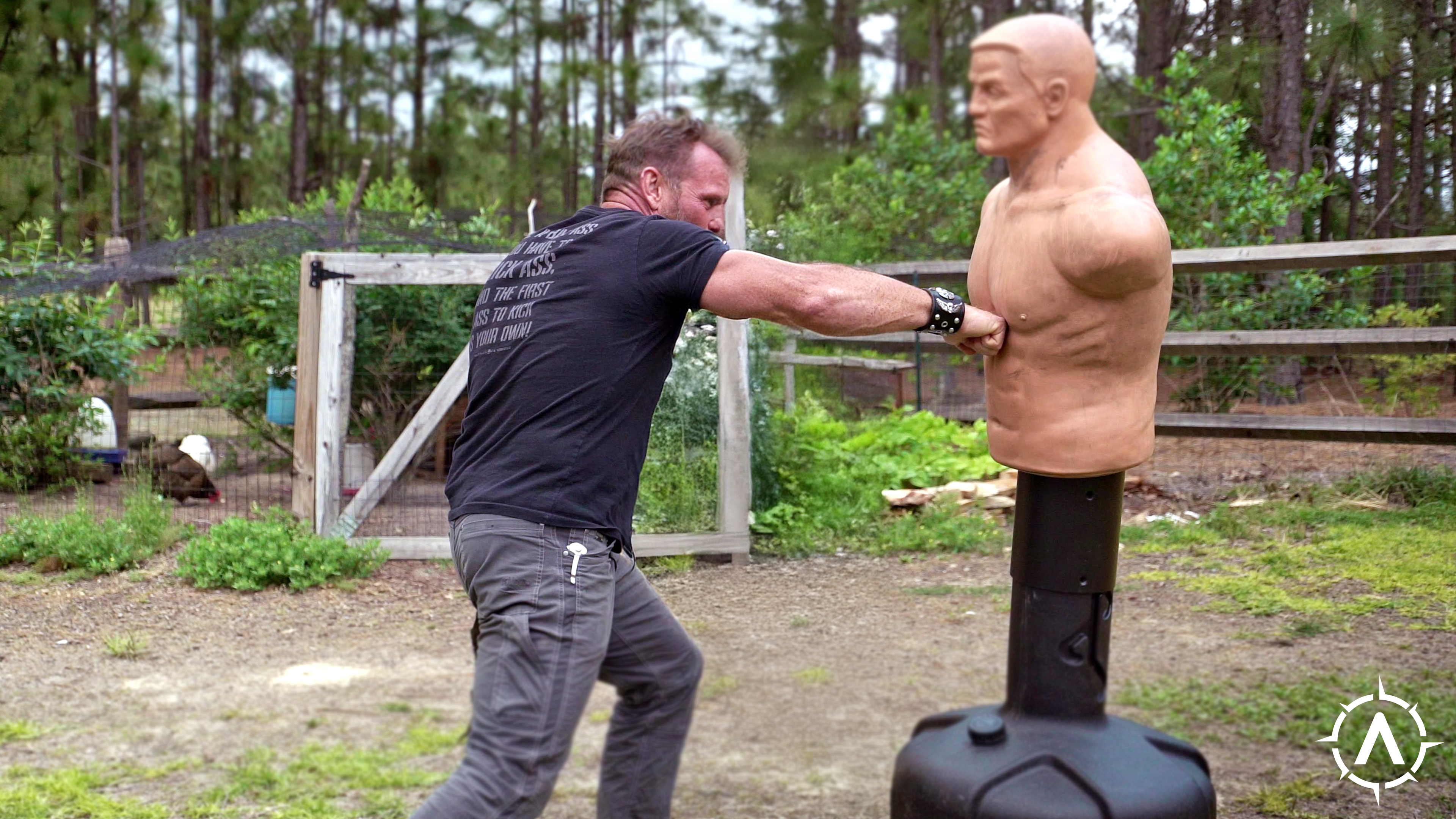 Spear to Sternum Strike