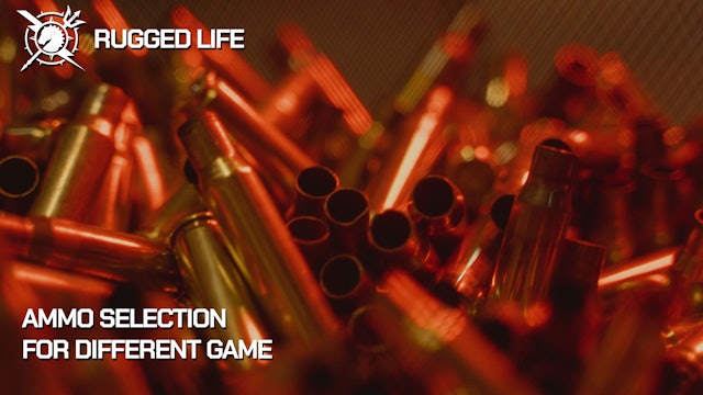 The Rugged Life: Ammo Selection for Different Game