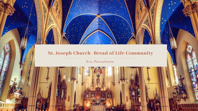 Sunday Mass Homily - 20th Sunday in Ordinary Time - August 14, 2022
