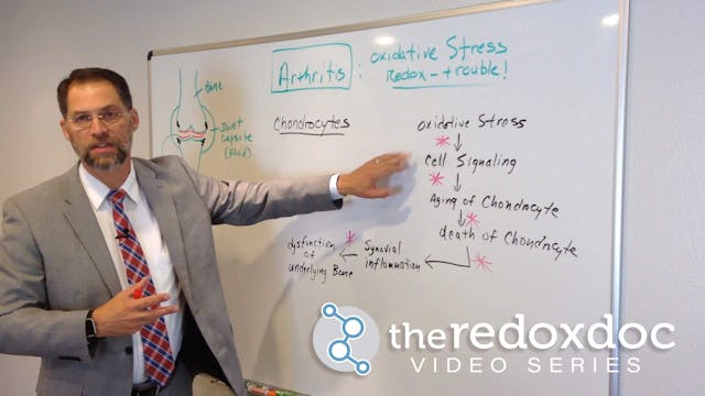 Redox Doc Video Collection