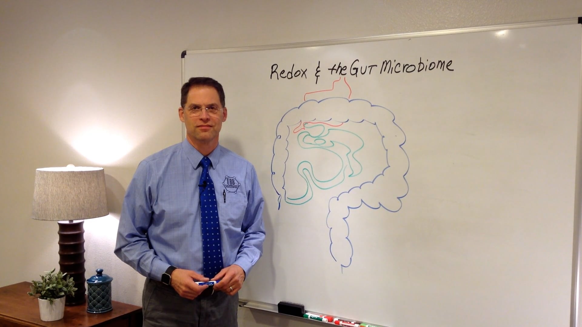 Redox and the Gut Microbiome