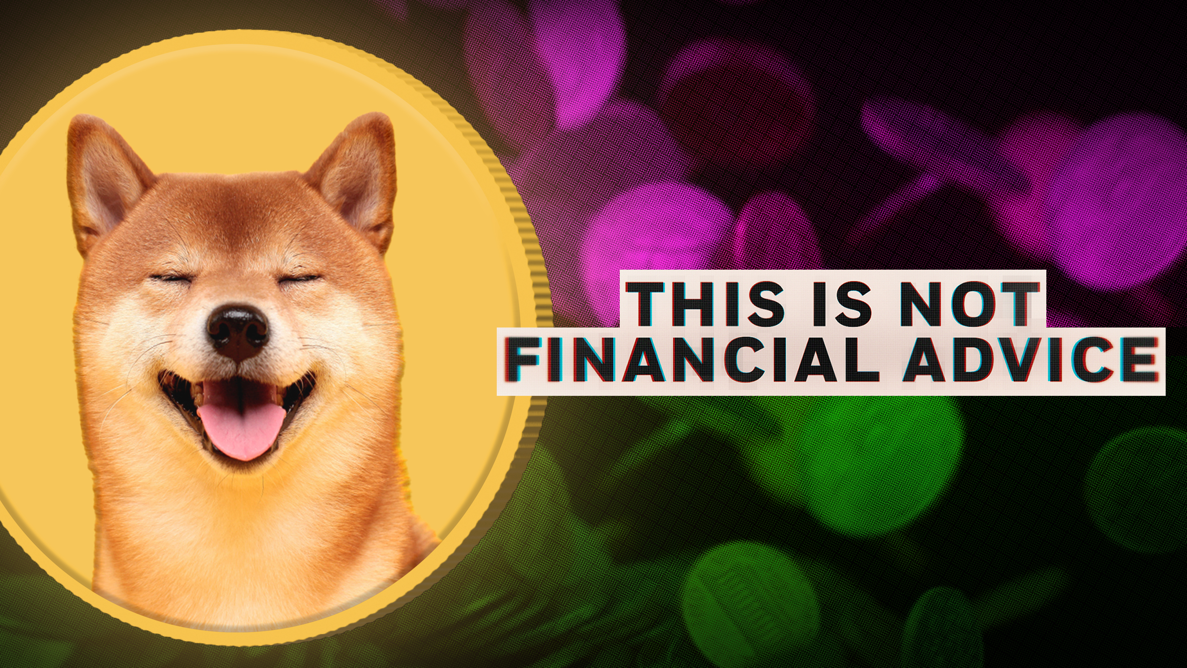 This Is Not Financial Advice Trailer