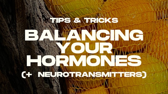 32. Balancing Hormones / Neurotransmitters