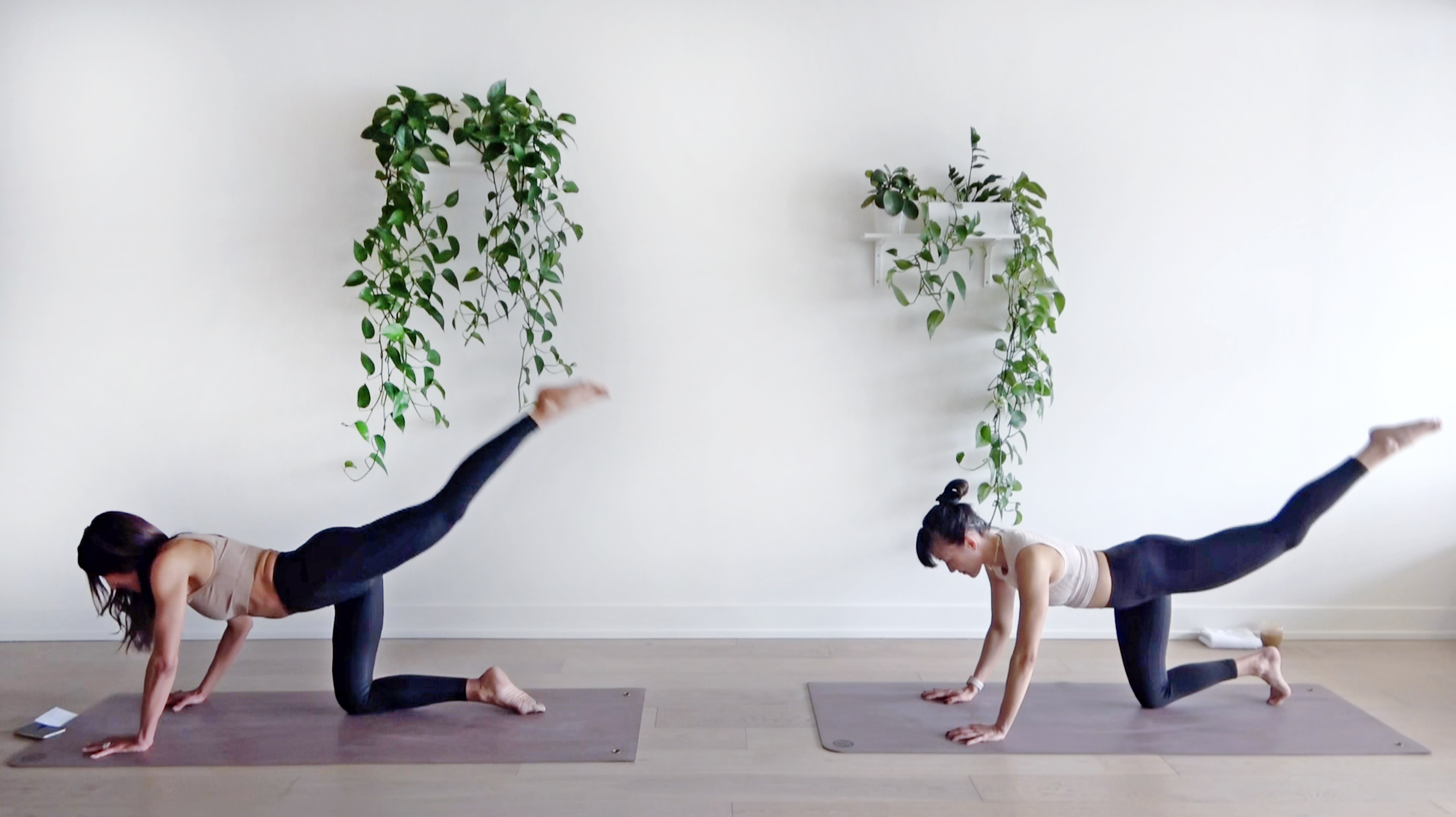 The Ritual Signature 04 Express w/ Elmira and Jen