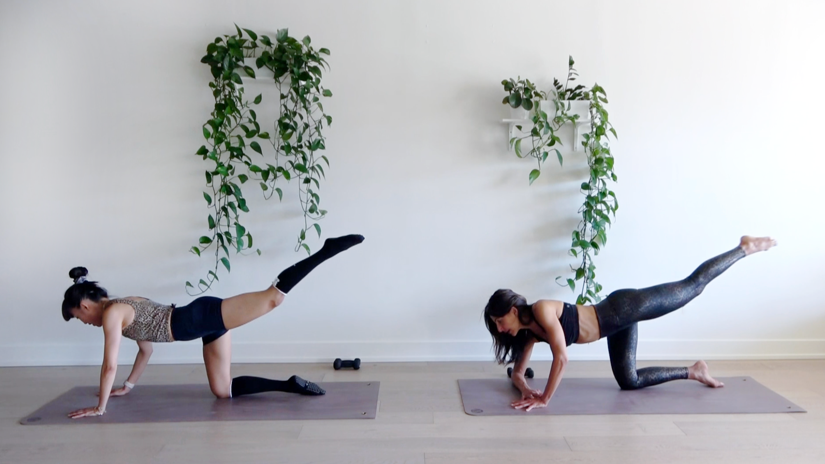 22 Min Sassy Sculpt w/ Jen & Elmira