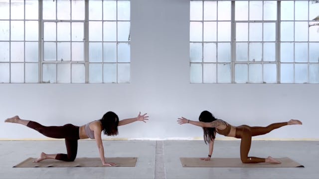 26 Min Yoga Sculpt w/ Elmira and Jen