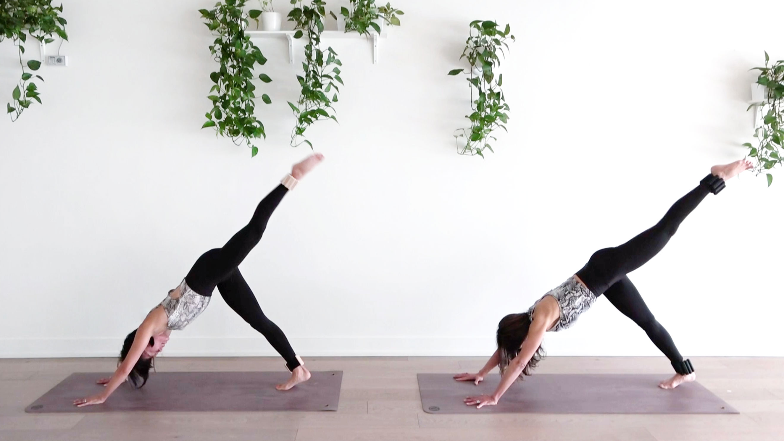 20 Min Full Body Burner w/ Jen & Elmira