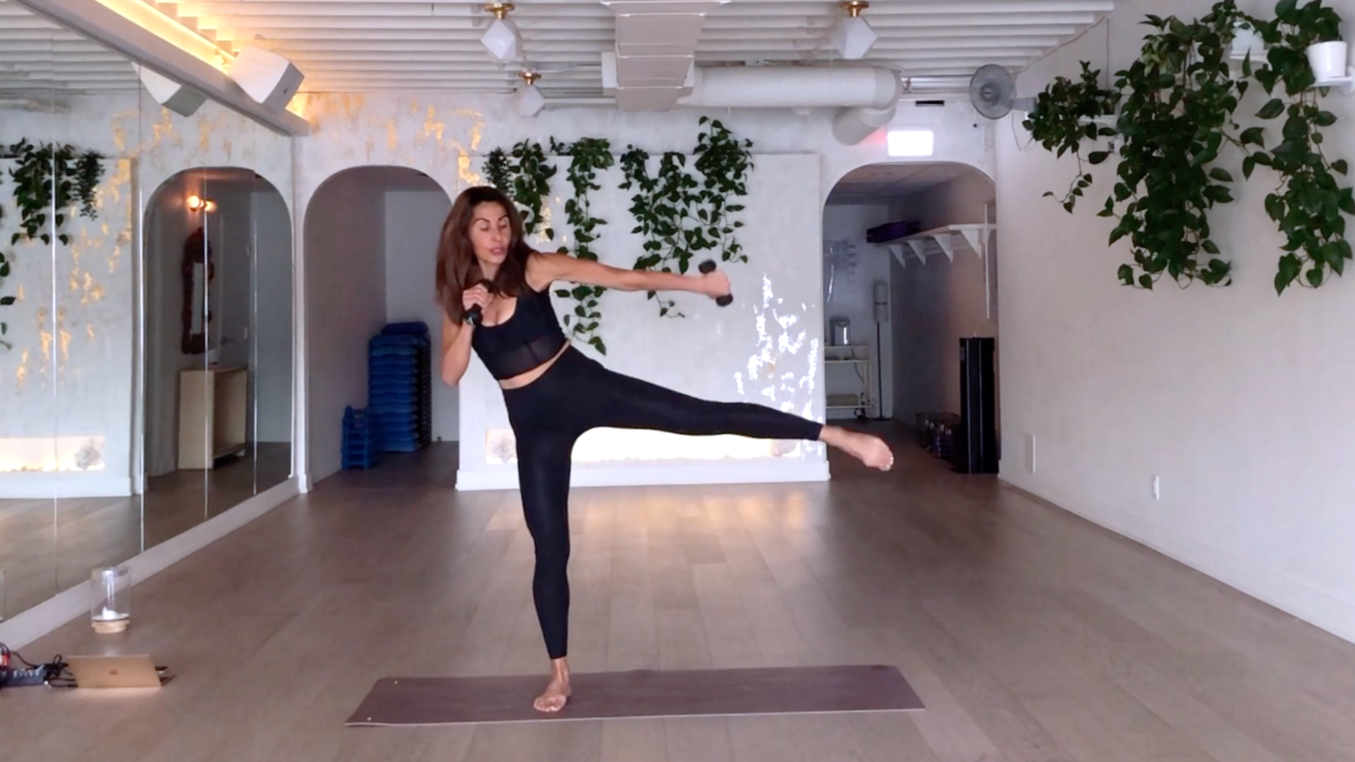 6 Min Express Arms and Lower Body Toning w/ Elmira 