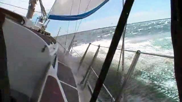 A Bone in Her Teeth - Dancing with the Wind