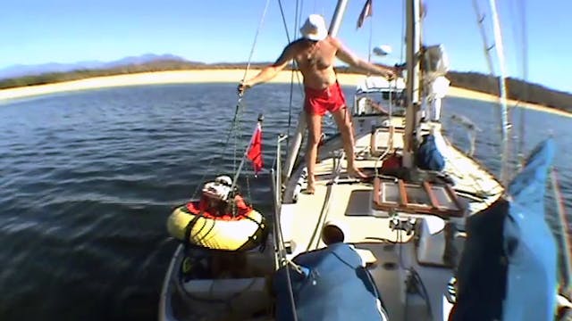 Cruising with Bettie: Diving in the B...