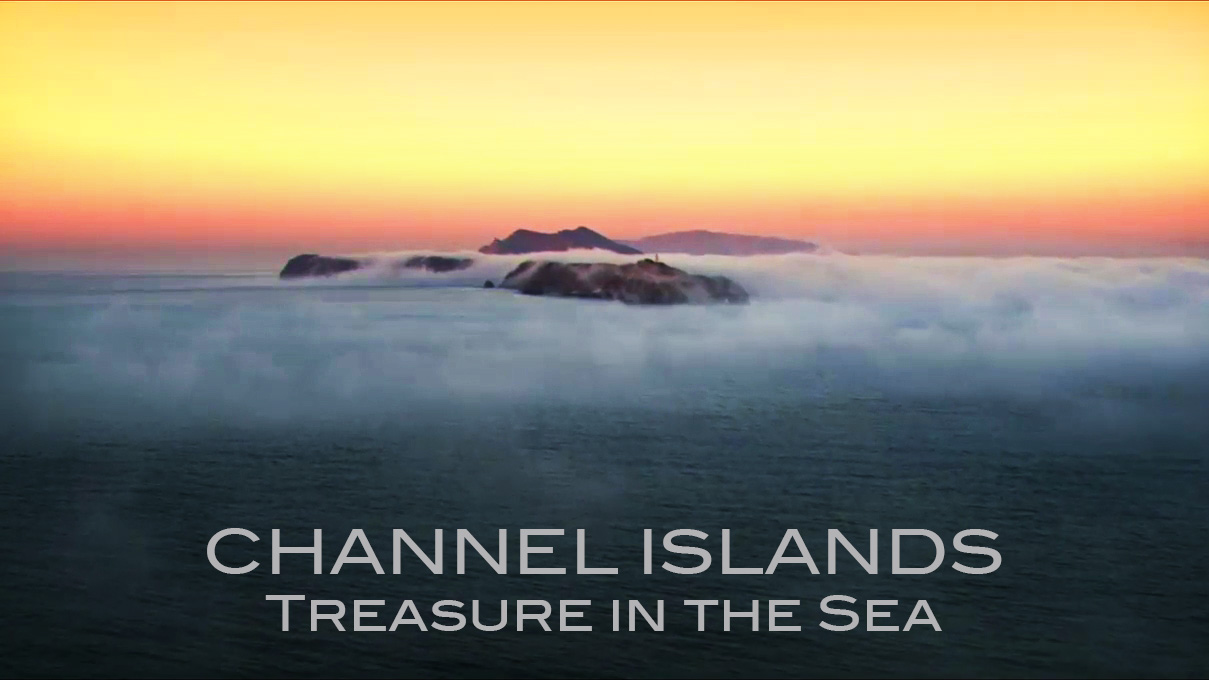 Channel Islands National Park: Treasure in the Sea