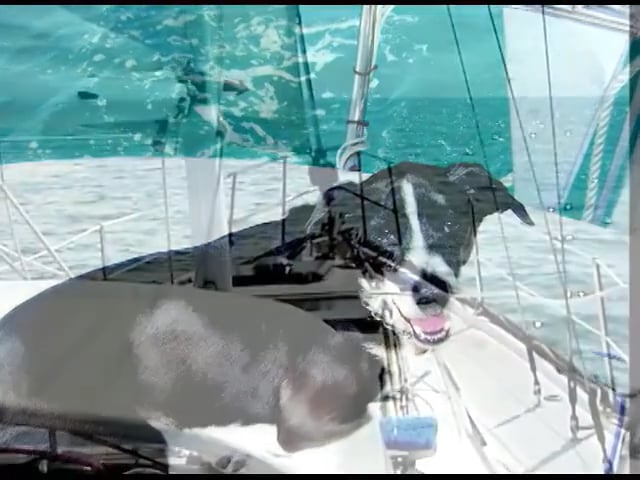 LATV S4:49: Pittwater Regatta, Australia