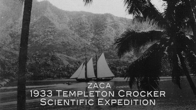 Zaca: 1933 Templeton Crocker Scientific Expedition