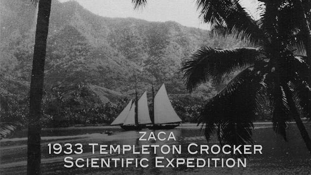 Zaca: 1933 Templeton Crocker Scientif...