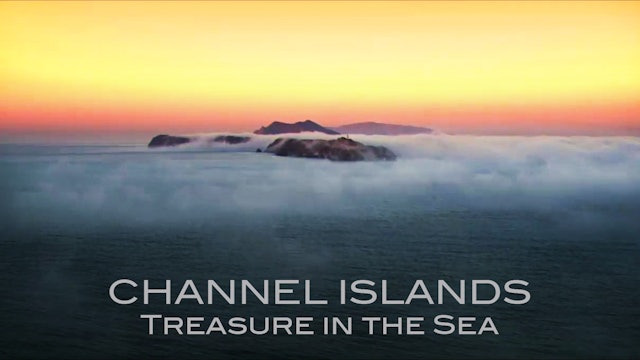 Channel Islands National Park: Treasure in the Sea