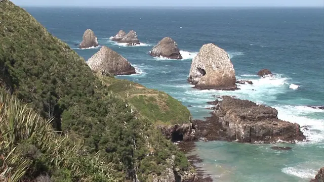 C'era un Isola : Nuova Zelanda