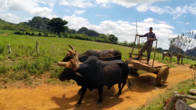 Suliere: Cuba, Pt. 2 - Travel Inside Cuba