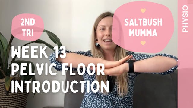 Week 13 - Pelvic Floor Introduction