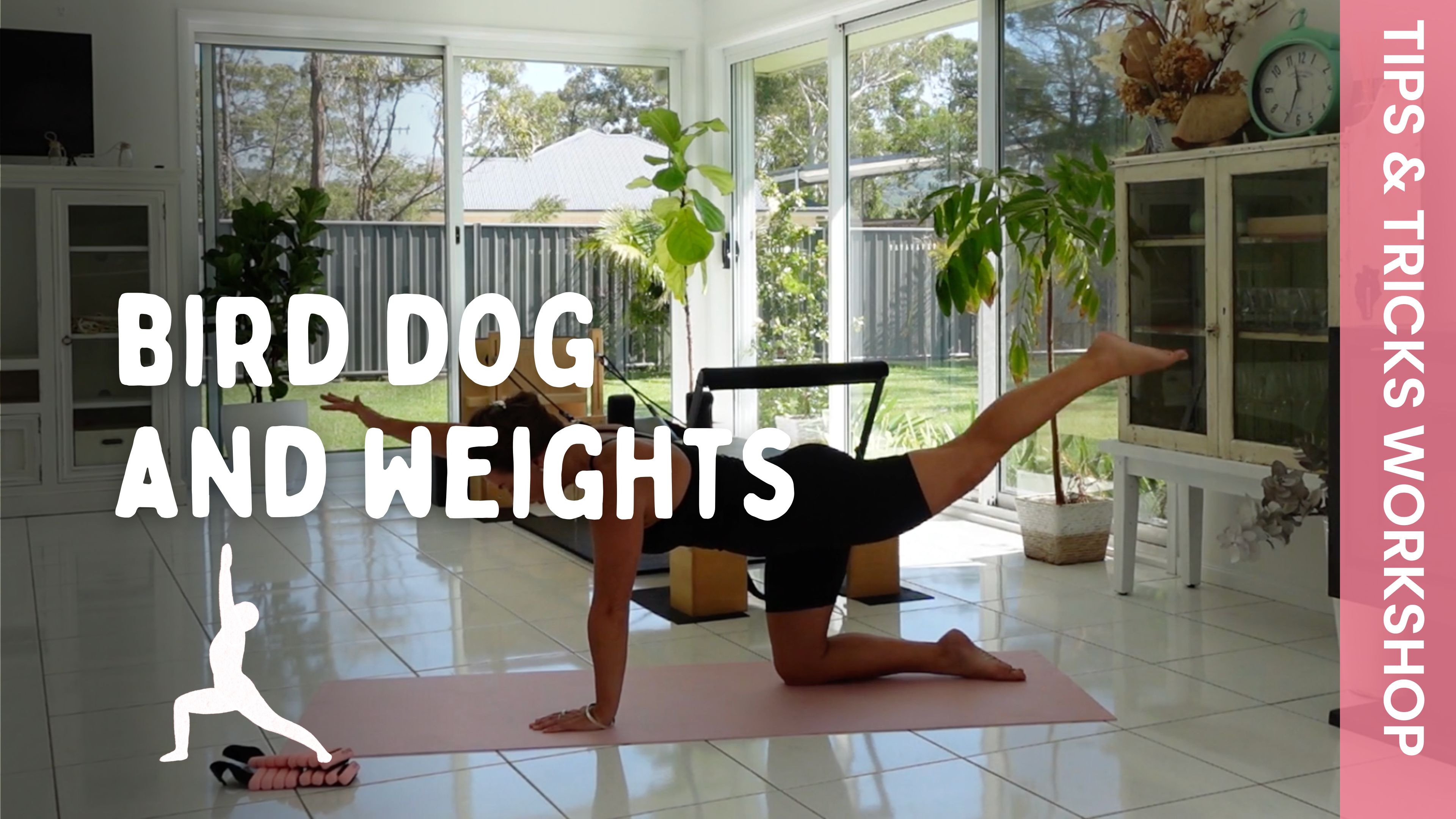 TIPS + TRICKS - Pilates - Bird Dog and Weights