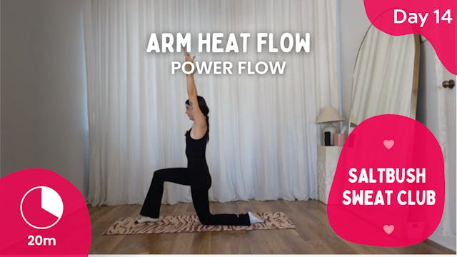 Day 14 - Arm Heat Flow - SALTBUSH SWE...