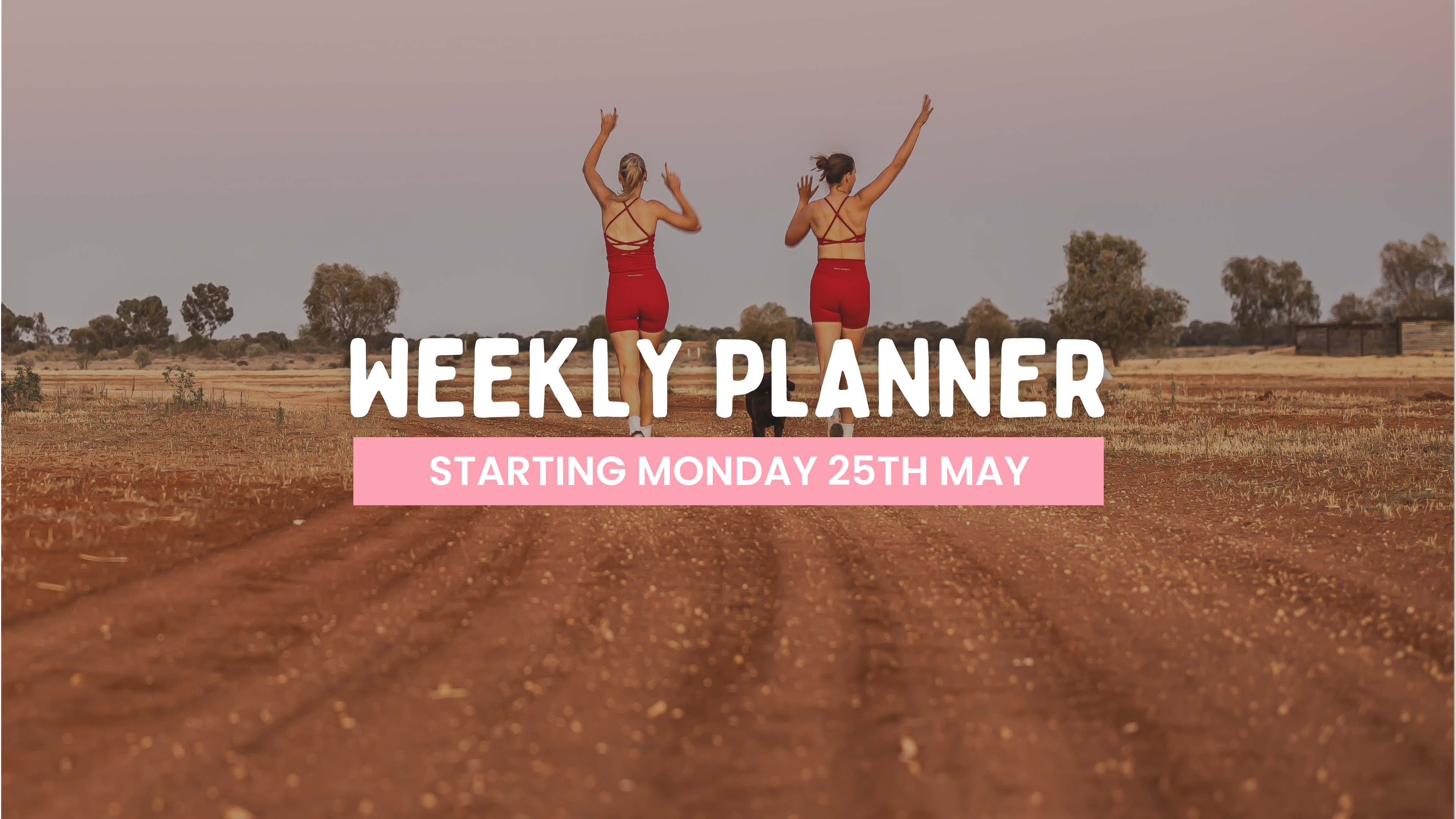 WEEKLY PLANNER