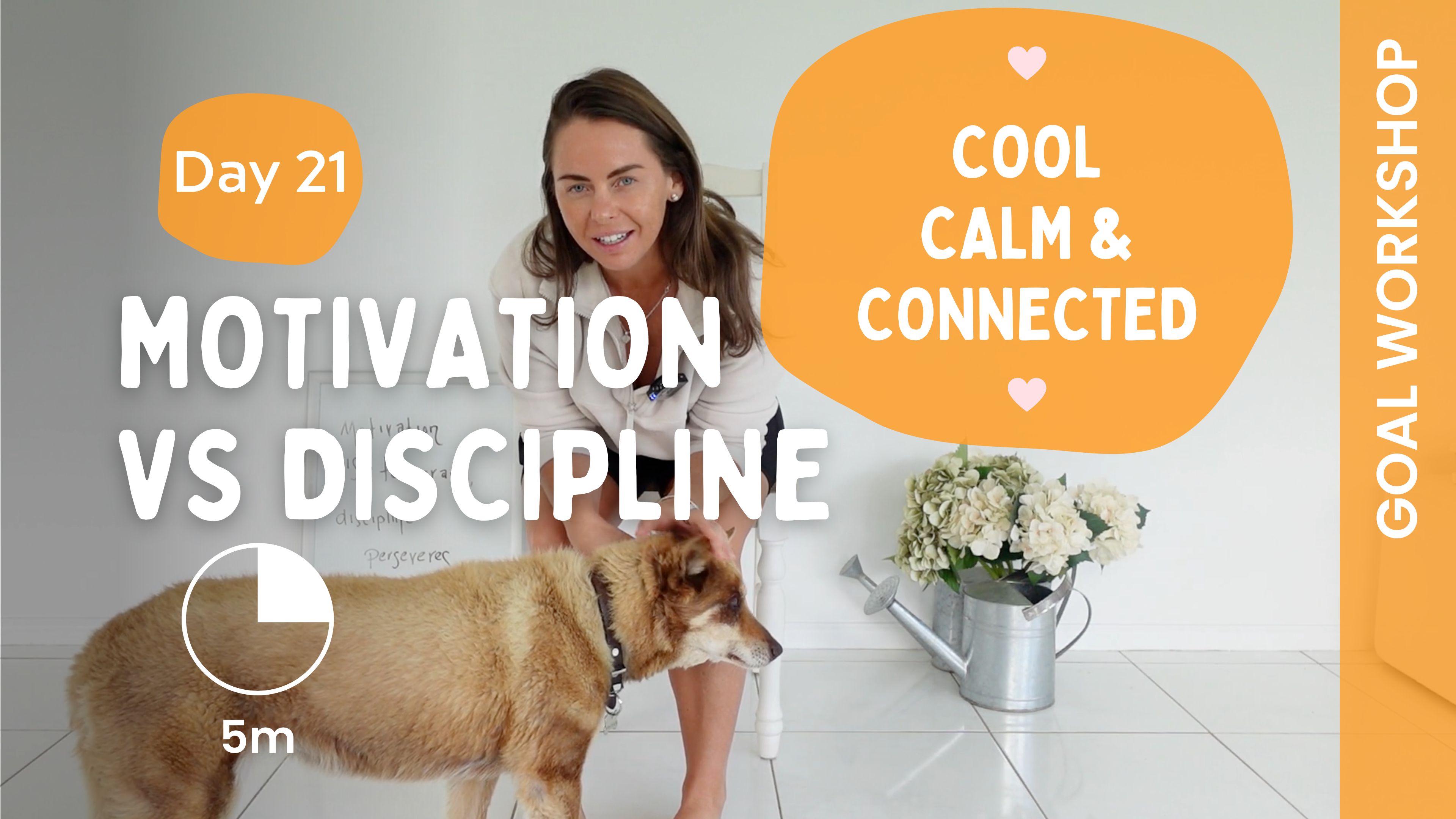 Day 21 - Check in & Motivation V Discipline (Goals)