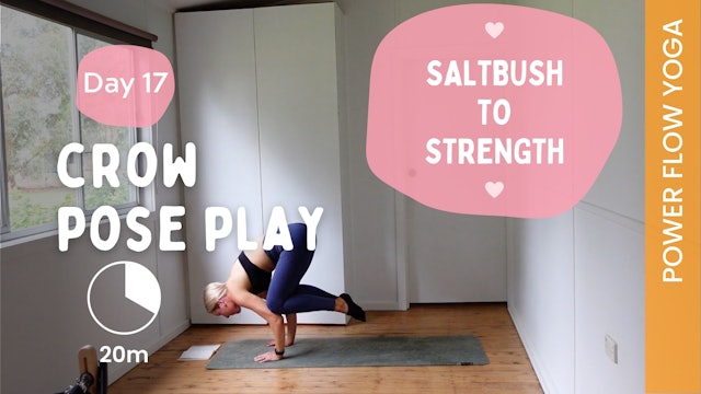 Crow Pose Play - (Power Yoga) - Saltbush to Strength