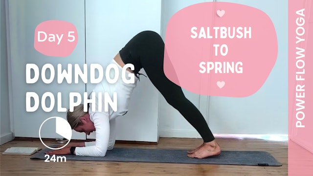 DAY 5 - Down Dog Dolphin (Power Yoga) - Saltbush to Spring