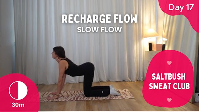 Day 17 - Recharge Flow - SALTBUSH SWE...