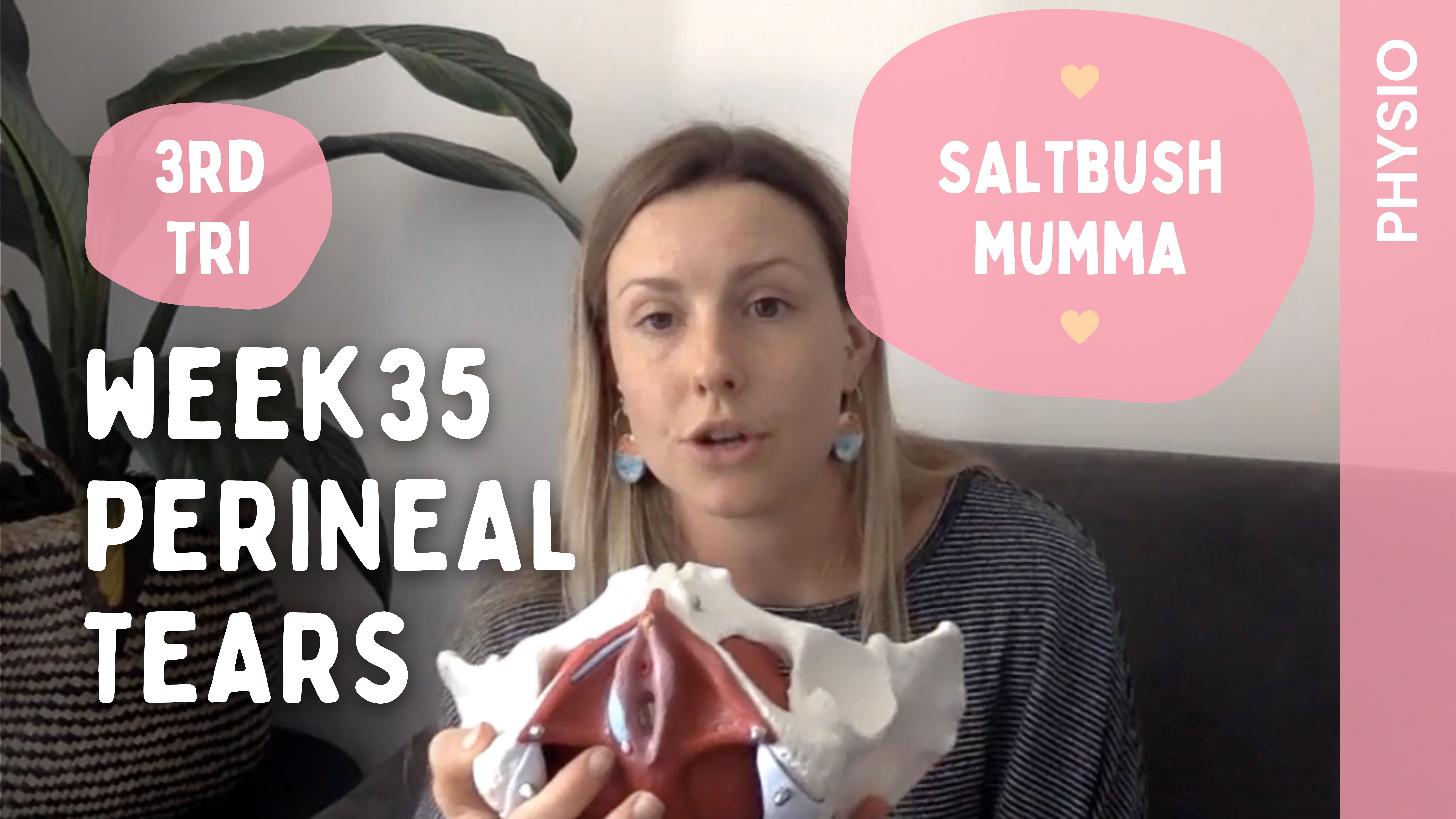 Week 35 - Perineal Tears