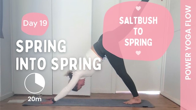 DAY 19 - Spring into Spring (Power Yoga) - Saltbush to Spring