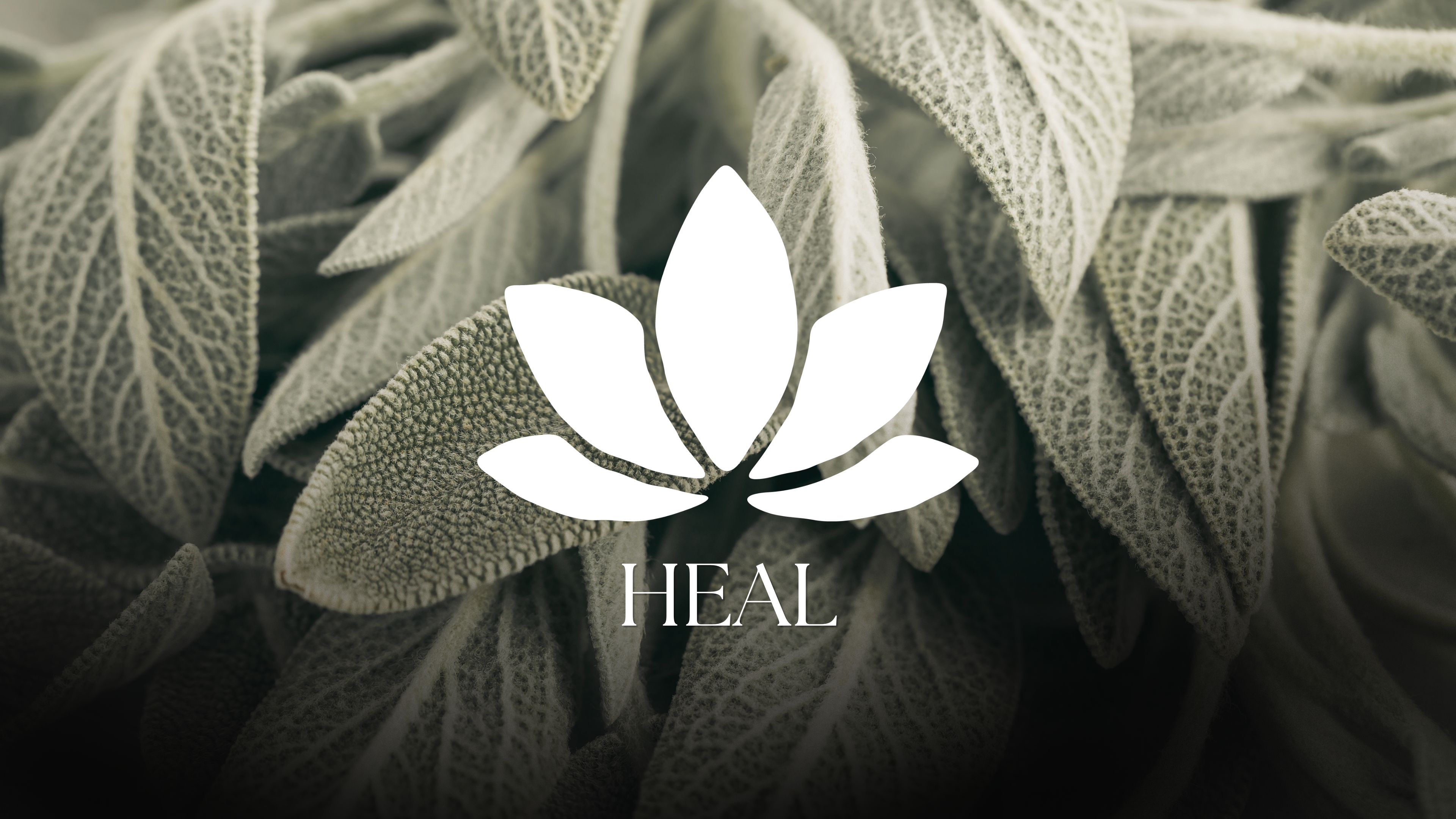 Heal — Elements · Restoration
