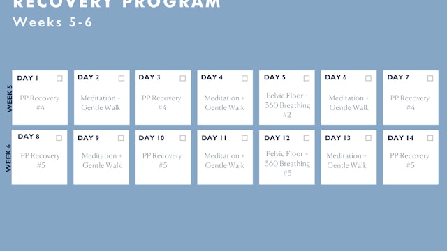 Postpartum Pelvic Floor Recovery Calendar Weeks 5-6